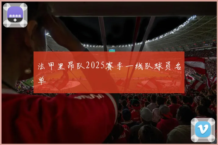 法甲里昂队2025赛季一线队球员名单