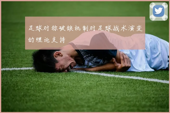 足球对称破缺机制对足球战术演变的理论支持